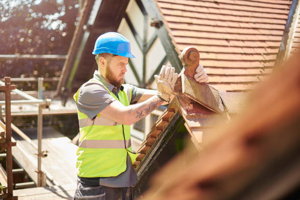 Best Roof Maintenance Services  in Morongo Valley, CA