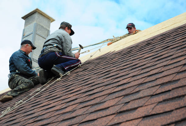 Best New Roof Installation  in Morongo Valley, CA